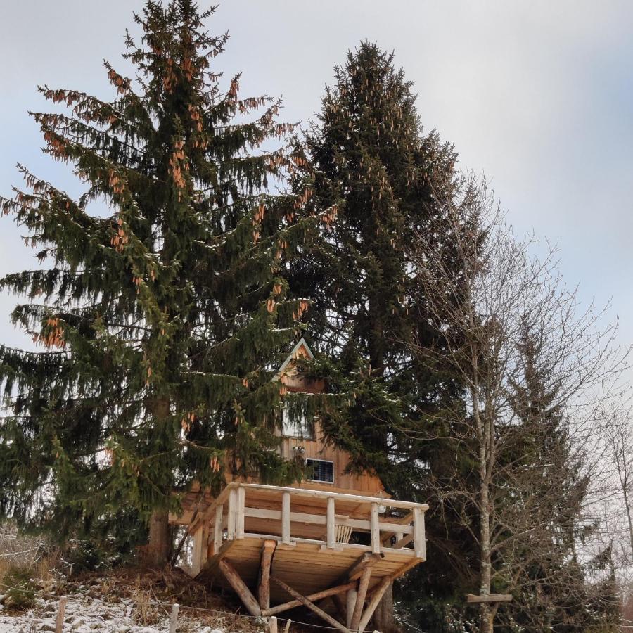 Villa Zen Among The Trees Stahovica Exterior foto